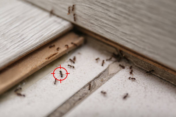 Brentwood, PA Pest Control Company