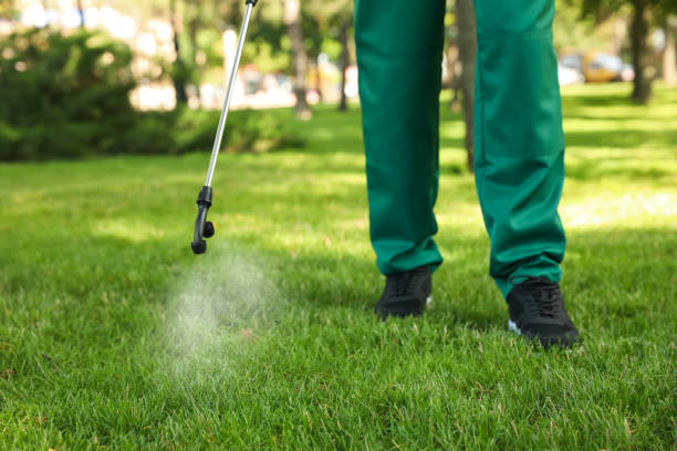 Best Termite Control Services  in Brentwood, PA