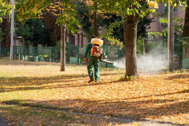 Best Local Pest Control Services  in Brentwood, PA