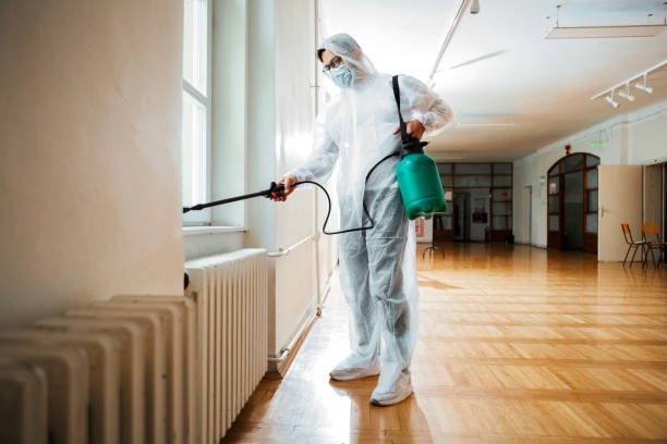 Best Wasp Removal Services  in Brentwood, PA