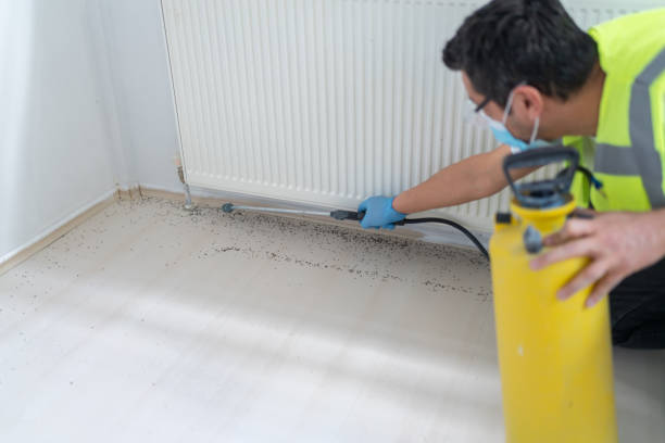 Best Affordable Pest Control Services  in Brentwood, PA